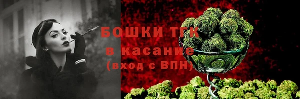 эйфоретик Арсеньев
