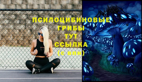 молекула духа Аркадак