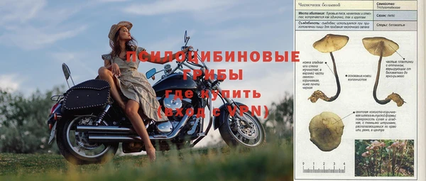 эйфоретик Арсеньев