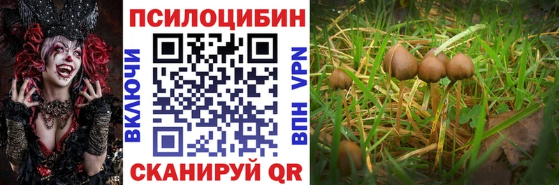 где продают   Свирск  Галлюциногенные грибы GOLDEN TEACHER 